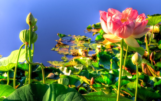 505059 (a): :2560x1600